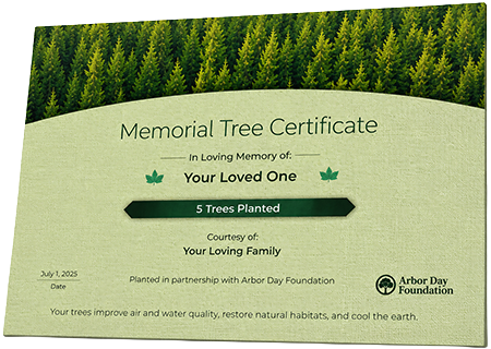 Plant Trees in Memory of Keyshun Dale Thomas